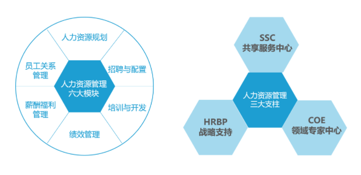 人力資源三支柱